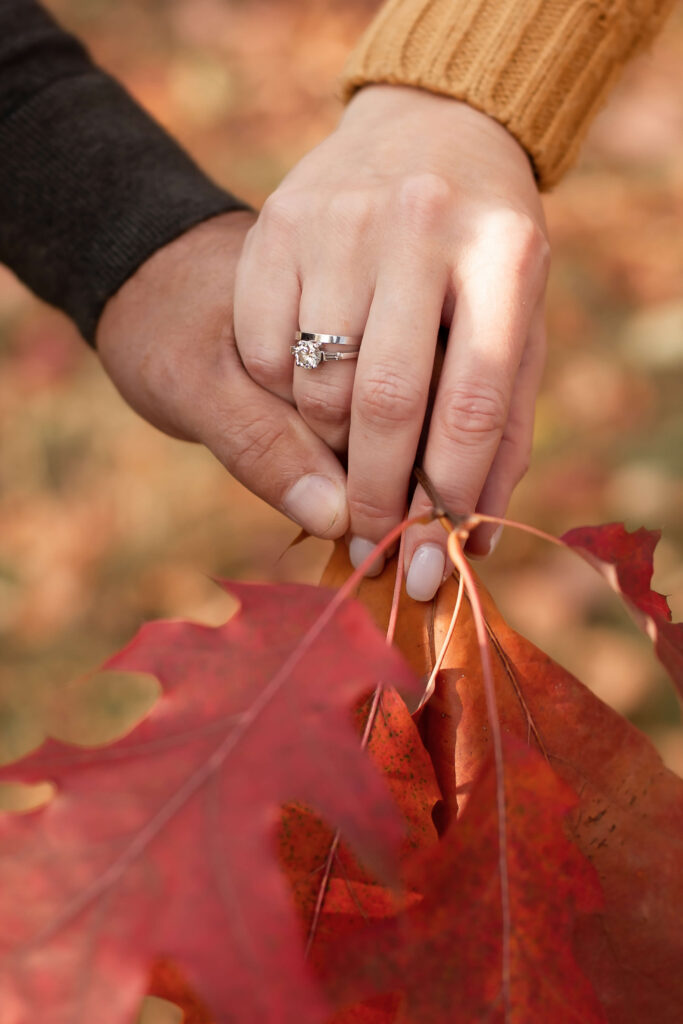 two hands holding a bunch of red Autumn leaves