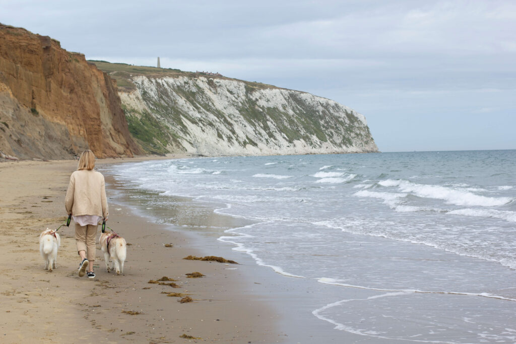 beach family photo of a woman with two dogs on the Isle of Wight